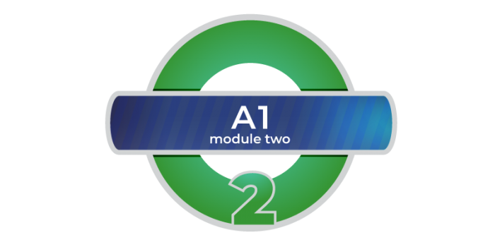 A1 modulo 2 online