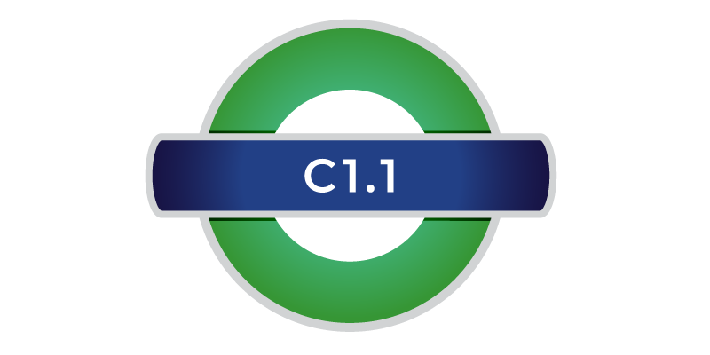 Corso di inglese online C1.1